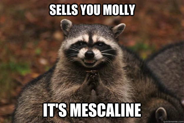 sells you molly it's mescaline  Evil Plotting Raccoon