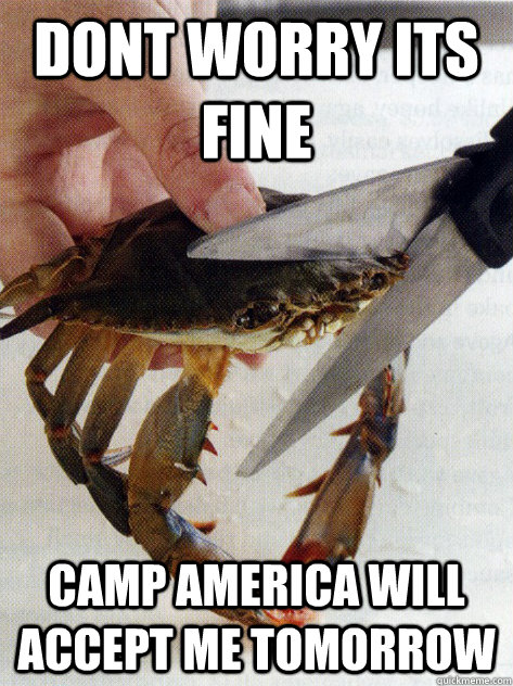 dont worry its fine camp america will accept me tomorrow  Optimistic Crab