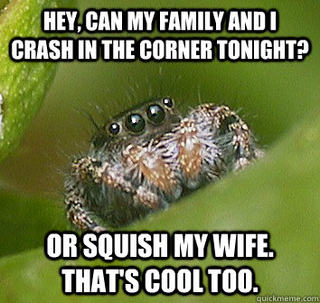 Hey, can my family and i crash in the corner tonight? or squish my wife. that's cool too. - Hey, can my family and i crash in the corner tonight? or squish my wife. that's cool too.  Misunderstood Spider