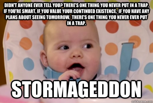 Didn't anyone ever tell you? There's one thing you never put in a trap, if you're smart, if you value your continued existence,  if you have any plans about seeing tomorrow,  there's one thing you never ever put in a trap. Stormageddon  