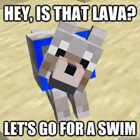 Hey, is that lava? let's go for a swim  scumbag minecraft dog