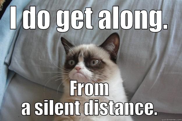 I DO GET ALONG. FROM A SILENT DISTANCE. Grumpy Cat