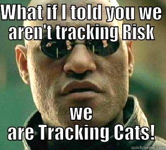 WHAT IF I TOLD YOU WE AREN'T TRACKING RISK WE ARE TRACKING CATS! Matrix Morpheus