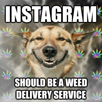 Instagram Should be a weed delivery service  Stoner Dog