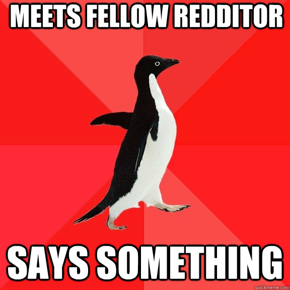 Meets fellow redditor says something  Socially Awesome Penguin