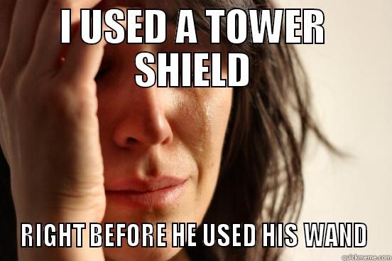 Wizard101 Logic - I USED A TOWER SHIELD RIGHT BEFORE HE USED HIS WAND First World Problems