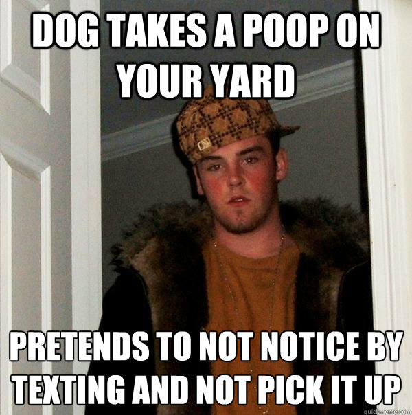 dog takes a poop on your yard pretends to not notice by texting and not pick it up  Scumbag Steve