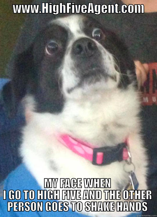 SURPRISE Face Pup -      WWW.HIGHFIVEAGENT.COM      MY FACE WHEN I GO TO HIGH FIVE AND THE OTHER PERSON GOES TO SHAKE HANDS Misc