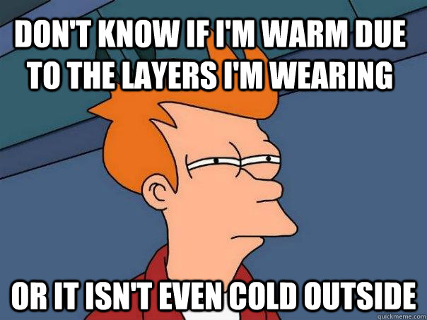 Don't know if I'm warm due to the layers I'm wearing or it isn't even cold outside  Futurama Fry