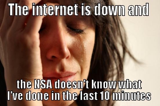 THE INTERNET IS DOWN AND THE NSA DOESN'T KNOW WHAT I'VE DONE IN THE LAST 10 MINUTES First World Problems