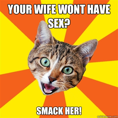 Your Wife wont have sex? smack her!  Bad Advice Cat