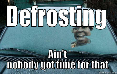 DEFROSTING AIN'T NOBODY GOT TIME FOR THAT Misc