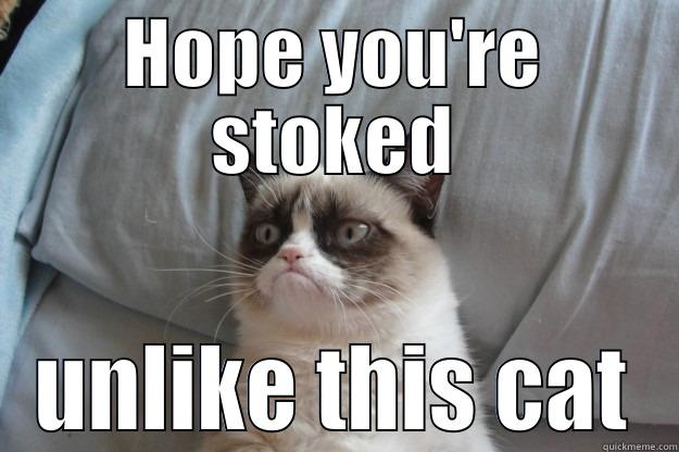 HOPE YOU'RE STOKED UNLIKE THIS CAT Grumpy Cat