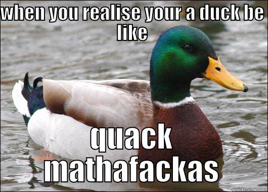 WHEN YOU REALISE YOUR A DUCK BE LIKE QUACK MATHAFACKAS Actual Advice Mallard