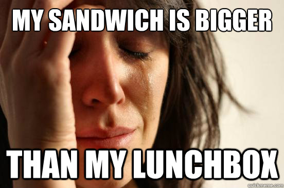 MY SANDWICH IS BIGGER THAN MY LUNCHBOX  First World Problems