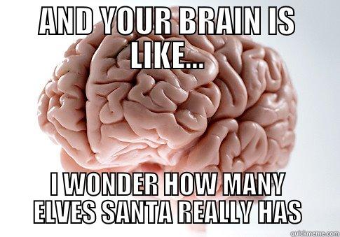 AND YOUR BRAIN IS LIKE... I WONDER HOW MANY ELVES SANTA REALLY HAS Scumbag Brain