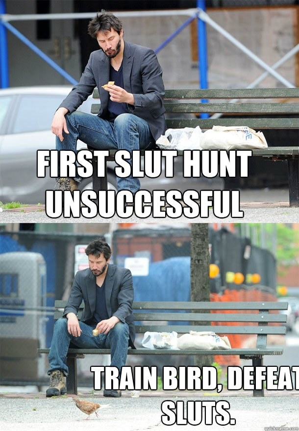 First slut hunt unsuccessful  Train bird, defeat sluts.  Sad Keanu