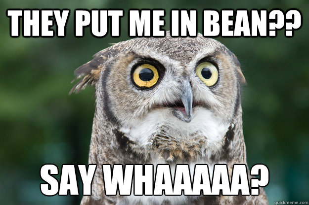 They put me in bean?? say whaaaaa?  UofO Owl Meme