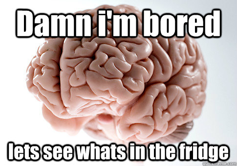 Damn i'm bored lets see whats in the fridge   Scumbag Brain