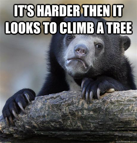 It's harder then it looks to climb a tree  - It's harder then it looks to climb a tree   Confession Bear