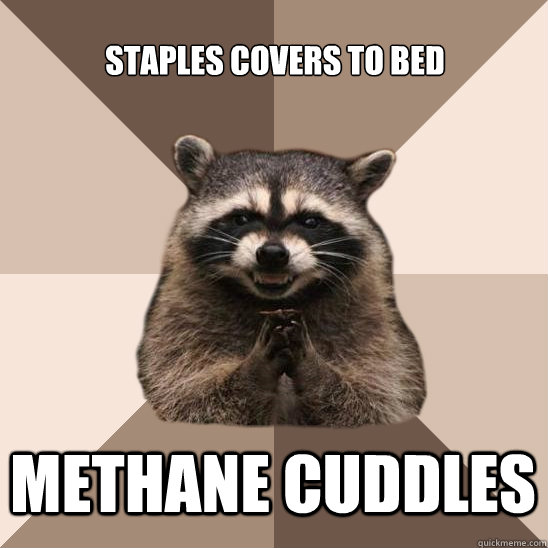 Staples covers to bed Methane Cuddles  Evil Plotting Raccoon