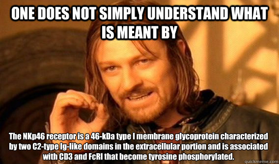 ONE DOES NOT SIMPLY UNDERSTAND WHAT IS MEANT BY The NKp46 receptor is a 46-kDa type I membrane glycoprotein characterized by two C2-type Ig-like domains in the extracellular portion and is associated with CD3ζ and FcεRIγ that become tyrosin - ONE DOES NOT SIMPLY UNDERSTAND WHAT IS MEANT BY The NKp46 receptor is a 46-kDa type I membrane glycoprotein characterized by two C2-type Ig-like domains in the extracellular portion and is associated with CD3ζ and FcεRIγ that become tyrosin  One Does Not Simply