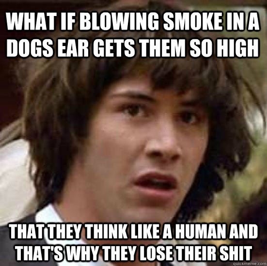 What if blowing smoke in a dogs ear gets them so high that they think like a human and that's why they lose their shit  conspiracy keanu