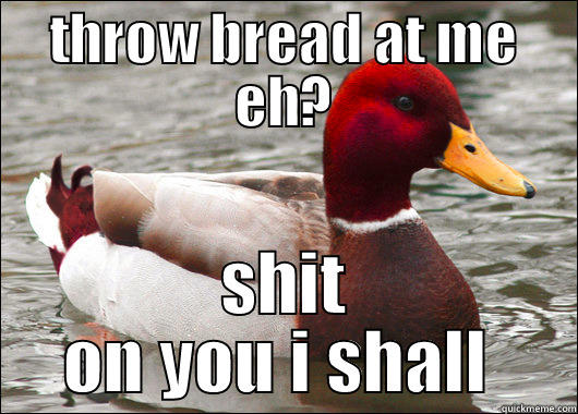 THROW BREAD AT ME EH? SHIT ON YOU I SHALL  Malicious Advice Mallard