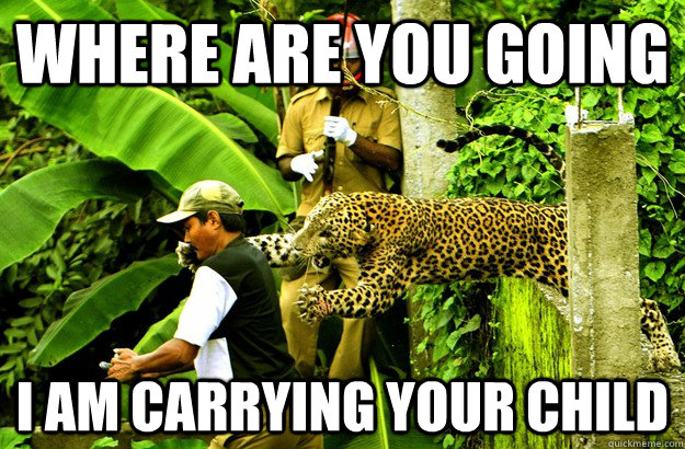 Where are you going i am carrying your child  Honest Leopard