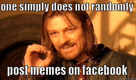 ONE SIMPLY DOES NOT RANDOMLY  POST MEMES ON FACEBOOK Boromir