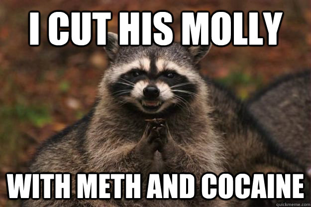 i cut his molly  with meth and cocaine  Evil Plotting Raccoon