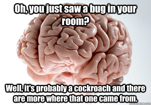 Oh, you just saw a bug in your room? Well, it's probably a cockroach and there are more where that one came from.  Scumbag Brain