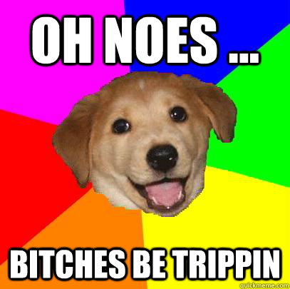 oh noes ... bitches be trippin  Advice Dog