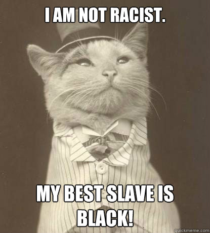 I am not racist. My best slave is black!  Aristocat