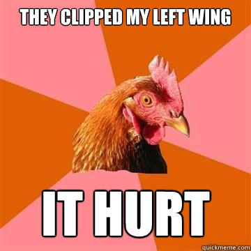 They clipped my left wing It hurt - They clipped my left wing It hurt  True story now anti joke chicken