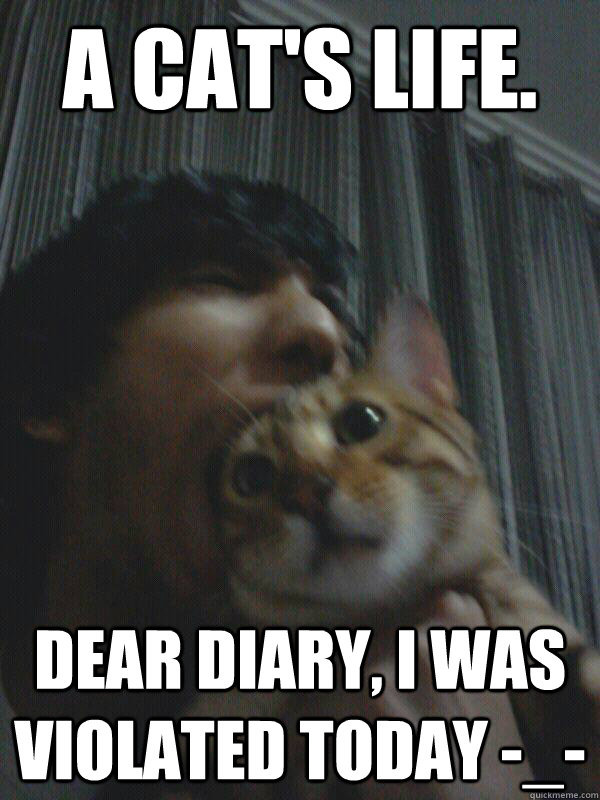 A cat's life. Dear Diary, I was violated today -_-  Cat Diaries