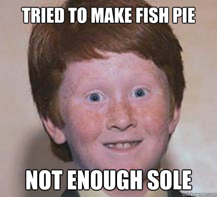 Tried to make fish pie not enough sole - Tried to make fish pie not enough sole  Over Confident Ginger