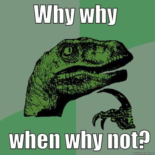         WHY WHY             WHEN WHY NOT? Philosoraptor