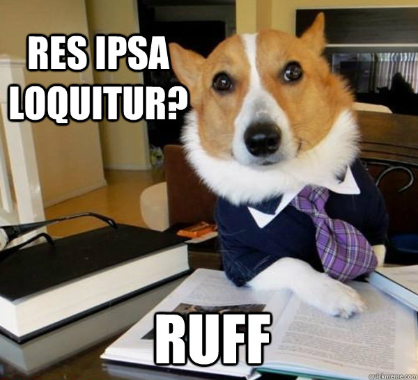 Res Ipsa Loquitur? Ruff   Lawyer Dog