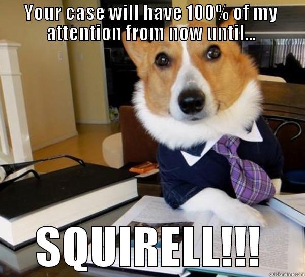 YOUR CASE WILL HAVE 100% OF MY ATTENTION FROM NOW UNTIL... SQUIRELL!!! Lawyer Dog