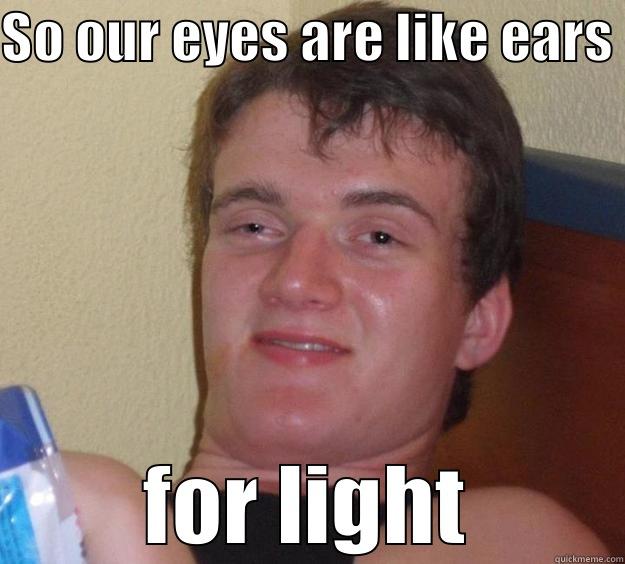 SO OUR EYES ARE LIKE EARS  FOR LIGHT 10 Guy