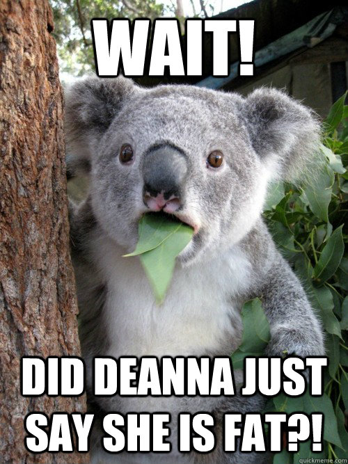 wait! did deanna just say she is fat?! - wait! did deanna just say she is fat?!  koala bear