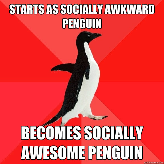 starts as socially awkward penguin becomes socially awesome penguin  Socially Awesome Penguin