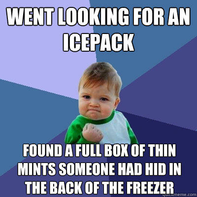 Went looking for an icepack found a full box of thin mints someone had hid in the back of the freezer  Success Kid