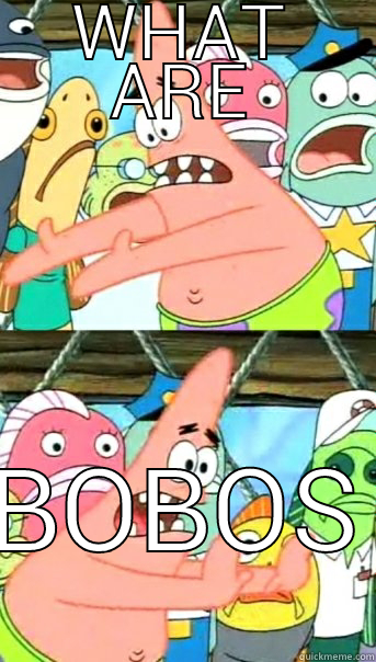 WHAT ARE BOBOS Push it somewhere else Patrick