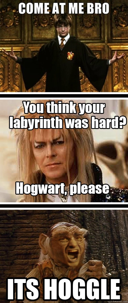   Harry Potter vs Jareth The Goblin King