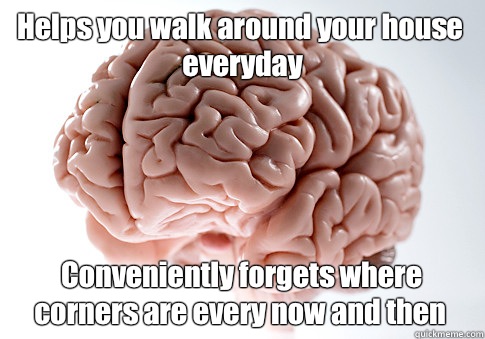 Helps you walk around your house everyday Conveniently forgets where corners are every now and then   Scumbag Brain