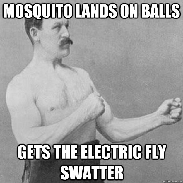 Mosquito lands on balls Gets the electric fly swatter - Mosquito lands on balls Gets the electric fly swatter  overly manly man