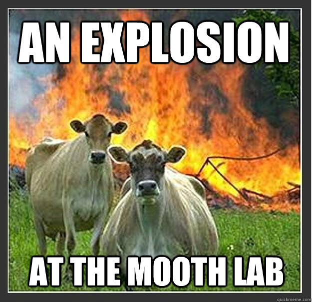 an explosion at the mooth lab  Evil cows