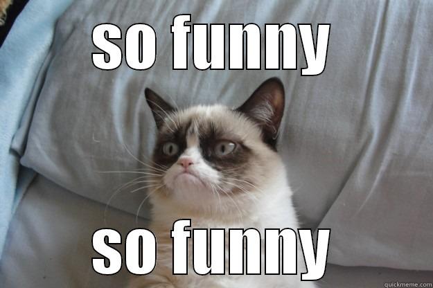 SO FUNNY SO FUNNY Grumpy Cat